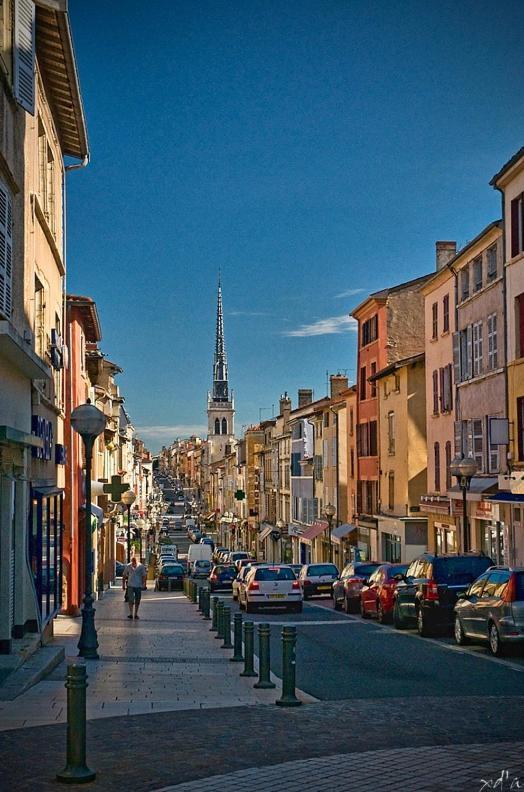 Le Cosy Twin Lägenhet Villefranche-sur-Saône Exteriör bild